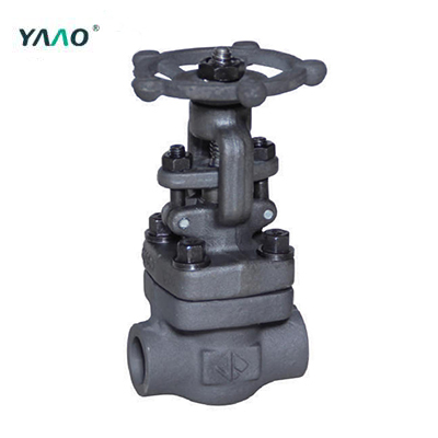 150LB-800LB Gate Valve, Bolted Bonnet, Full & Standard Port