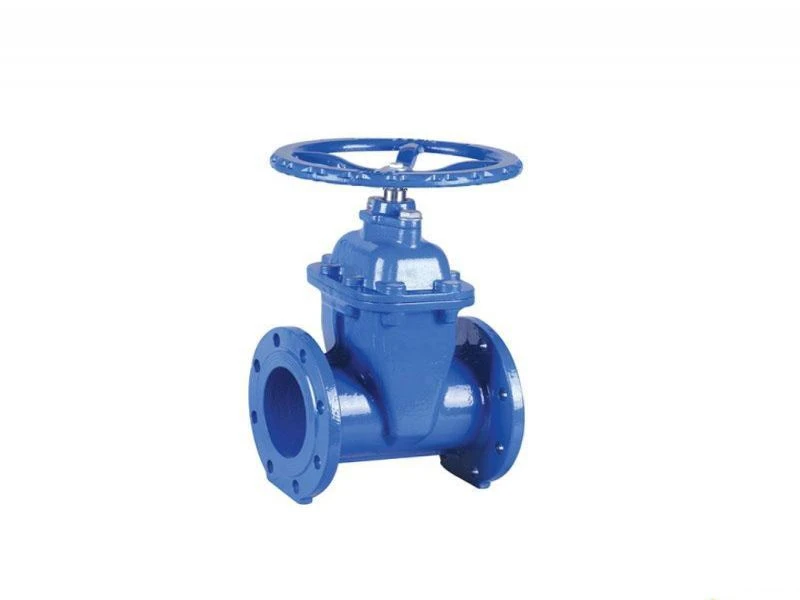 flanged gate valve