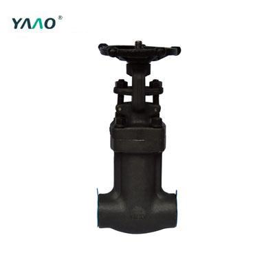 API 602 Bellow Seal Gate Valve, A105N, 3/4 Inch, 800LB