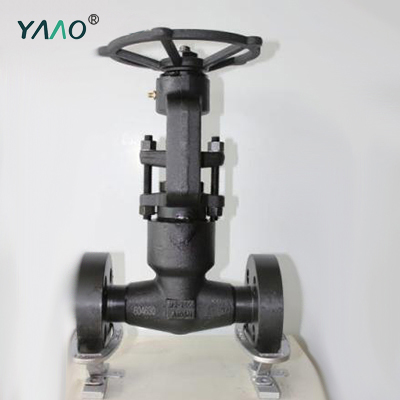 2500LB Integral Flanged Globe Valve, Bolted Bonnet