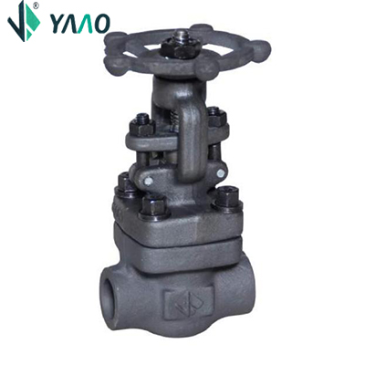 150LB-800LB Globe Valve, Bolted Bonnet, Full & Standard Port