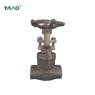 API 602 Welded Bonnet Gate Valve, A105N, 3/4IN, CL1500, Trim 5