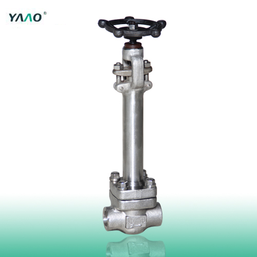 API 602 Cryogenic Globe Valve, F316, 3/4 Inch, Class 1500