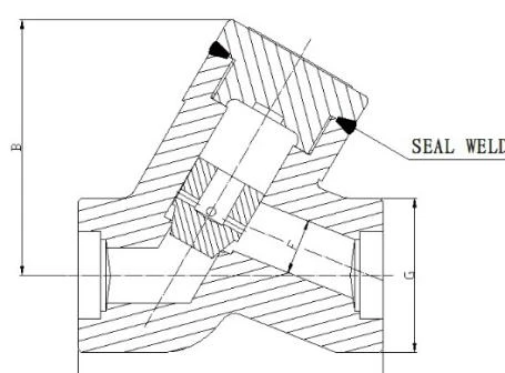 800-1500LB Check Valve, Welded Bonnet, Full Port (Y Type)