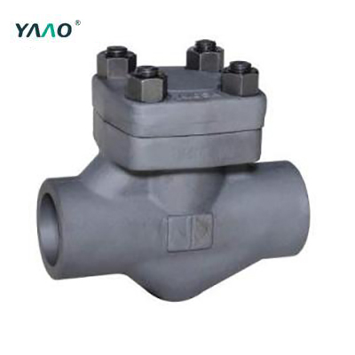 900-1500 LB Check Valve, Bolted Bonnet, Full & Standard Port